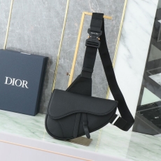 Christian Dior Waist Chest Packs